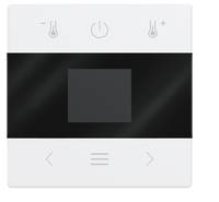 Busch-Jaeger Zentralscheibe 1794 MDRT-84 mit Display Bluetooth