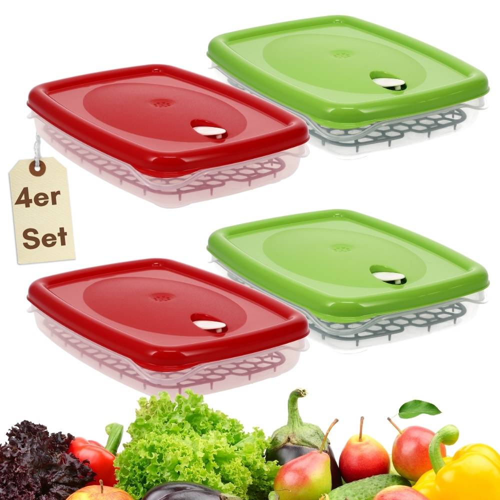 4er Set Frischhaltedosen mit Deckel Abtropfgitter Küche Dampfventil Aufbewahrungsdosen Kunststoff Vorratsdosen Luftdicht Gefrierdosen 2,5 L