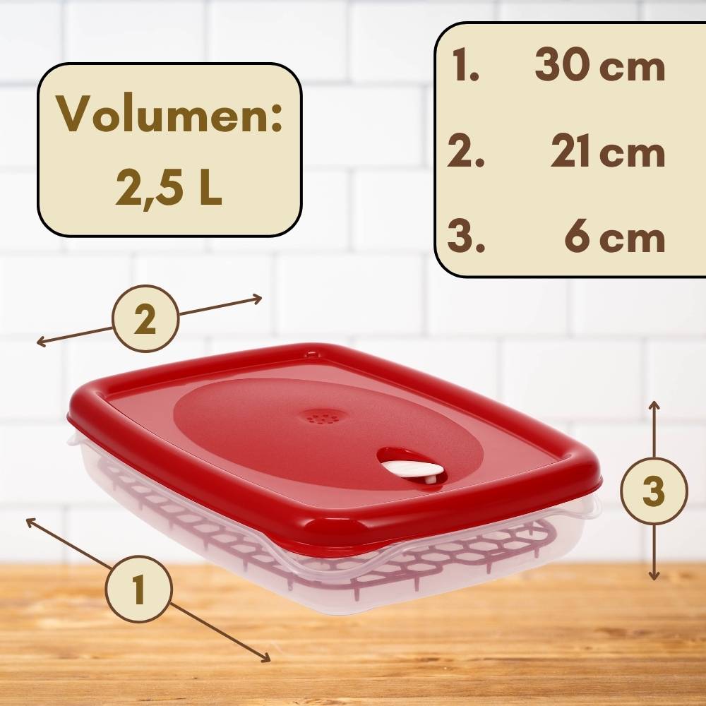 4er Set Frischhaltedosen mit Deckel Abtropfgitter Küche Dampfventil Aufbewahrungsdosen Kunststoff Vorratsdosen Luftdicht Gefrierdosen 2,5 L