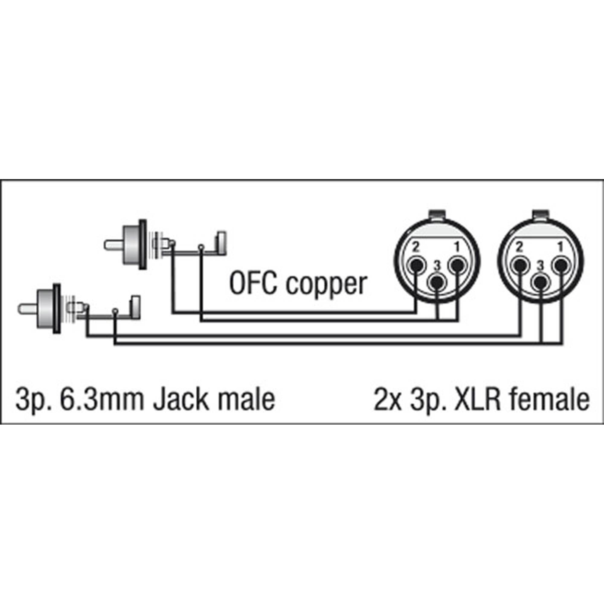 DAP FL25 - 2 RCA male L/R to 2 XLR/F 3P 1,5 m