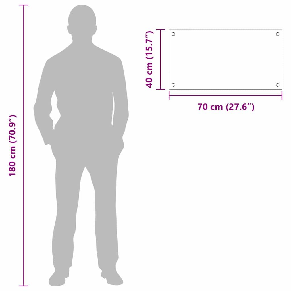 vidaXL Küchenrückwand Transparent 70 x 40 cm Gehärtetes Glas