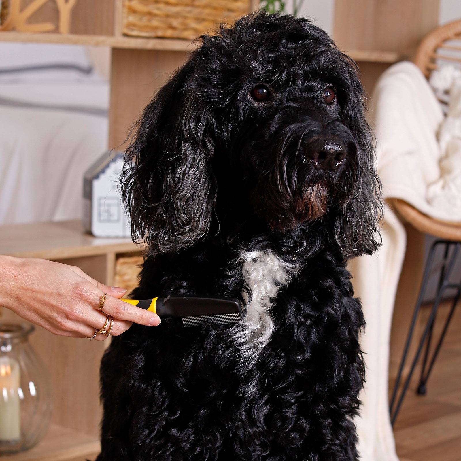 lionto Hundekamm Edelstahl, feiner Flohkamm zur Fellpflege, entfernt Parasiten & lose Haare, sanft & hautfreundlich, gelb/schwarz