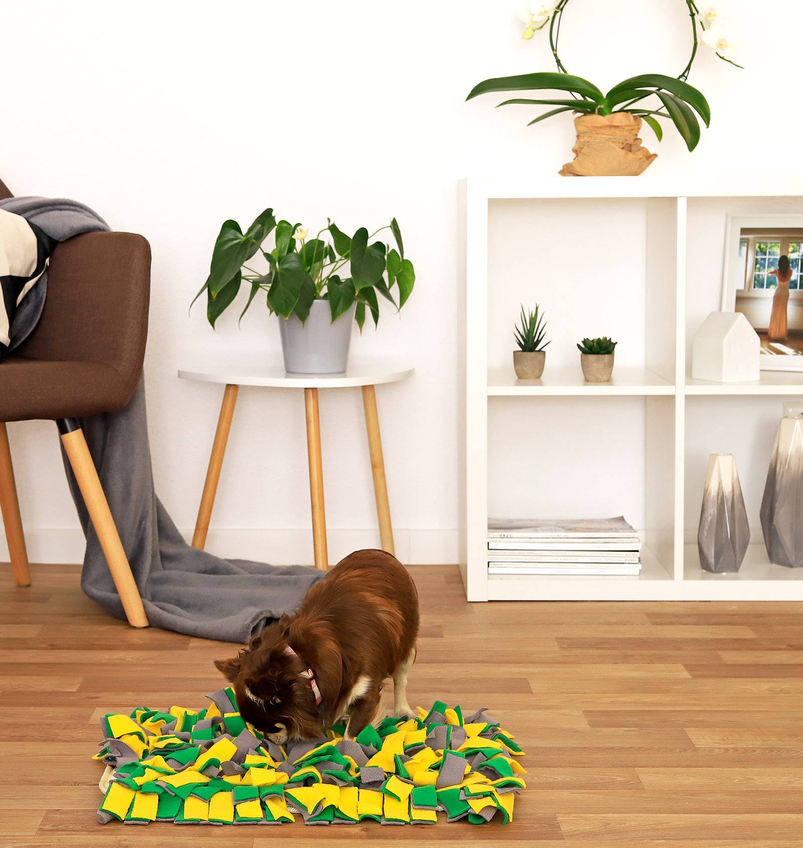 lionto Futterspielmatte für Katzen mit Anti-Rutsch-Unterseite, zur geistigen Förderung & Stressreduktion, 50x34 cm, gelb/grün