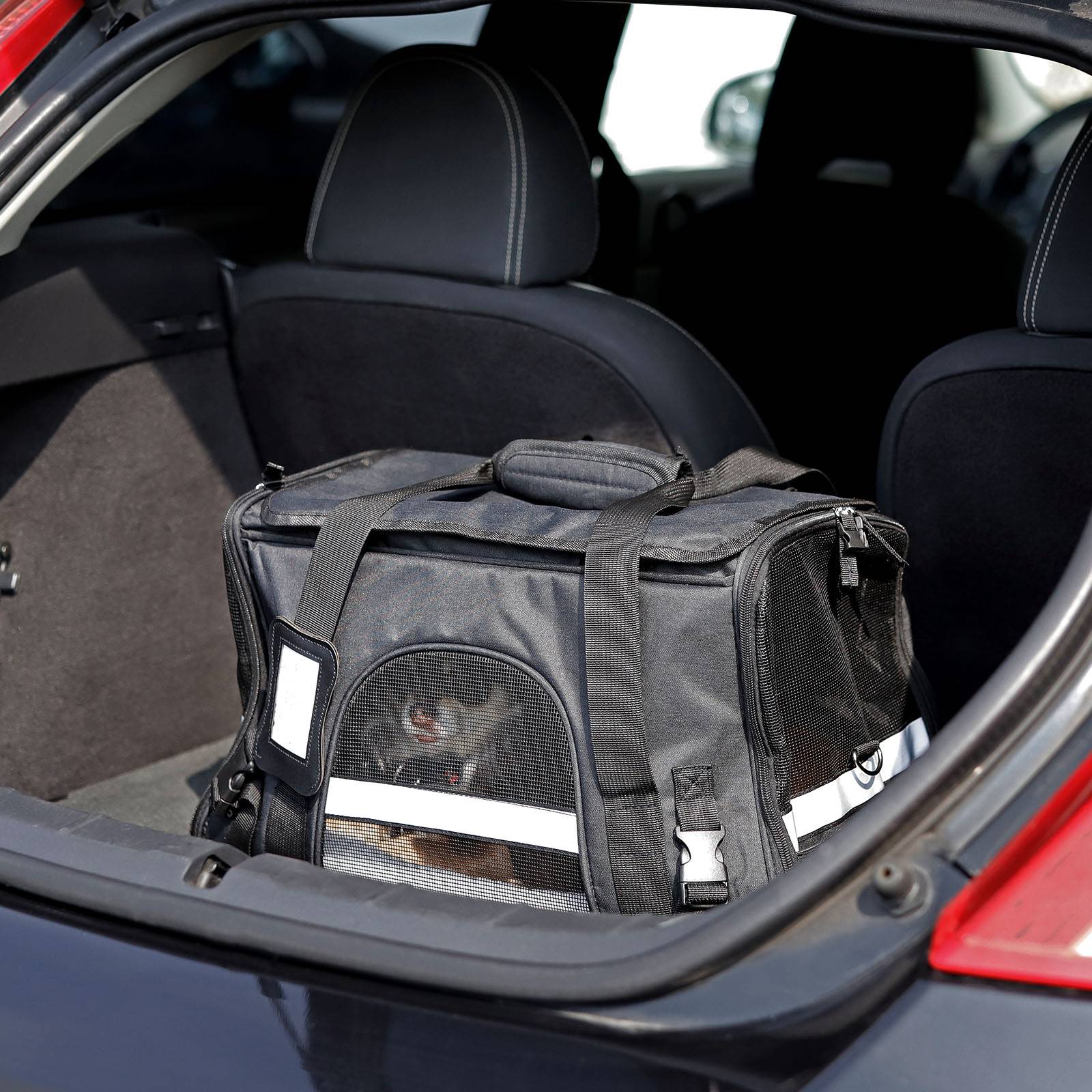 lionto Tiertransporttasche, sicher & komfortabel, mit Netzfenstern, Liegekissen & Trageoptionen, faltbar & pflegeleicht, schwarz