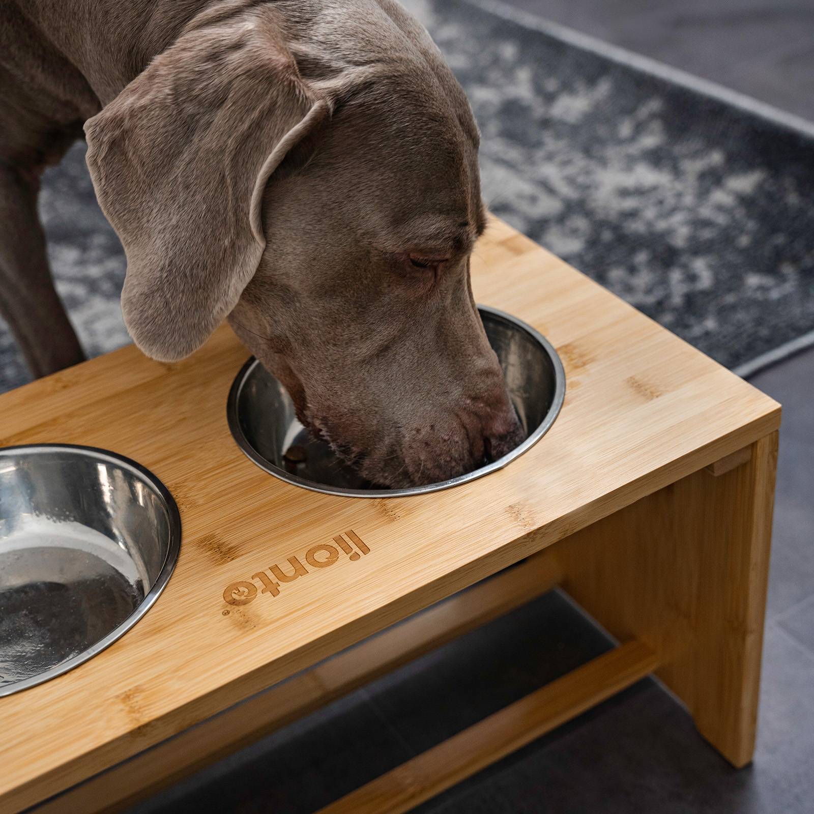 lionto Hundefutterstation, stilvolle Bambus-Futterbar mit rutschfesten Füßen & 2 Edelstahlnäpfen, 50x26x26 cm