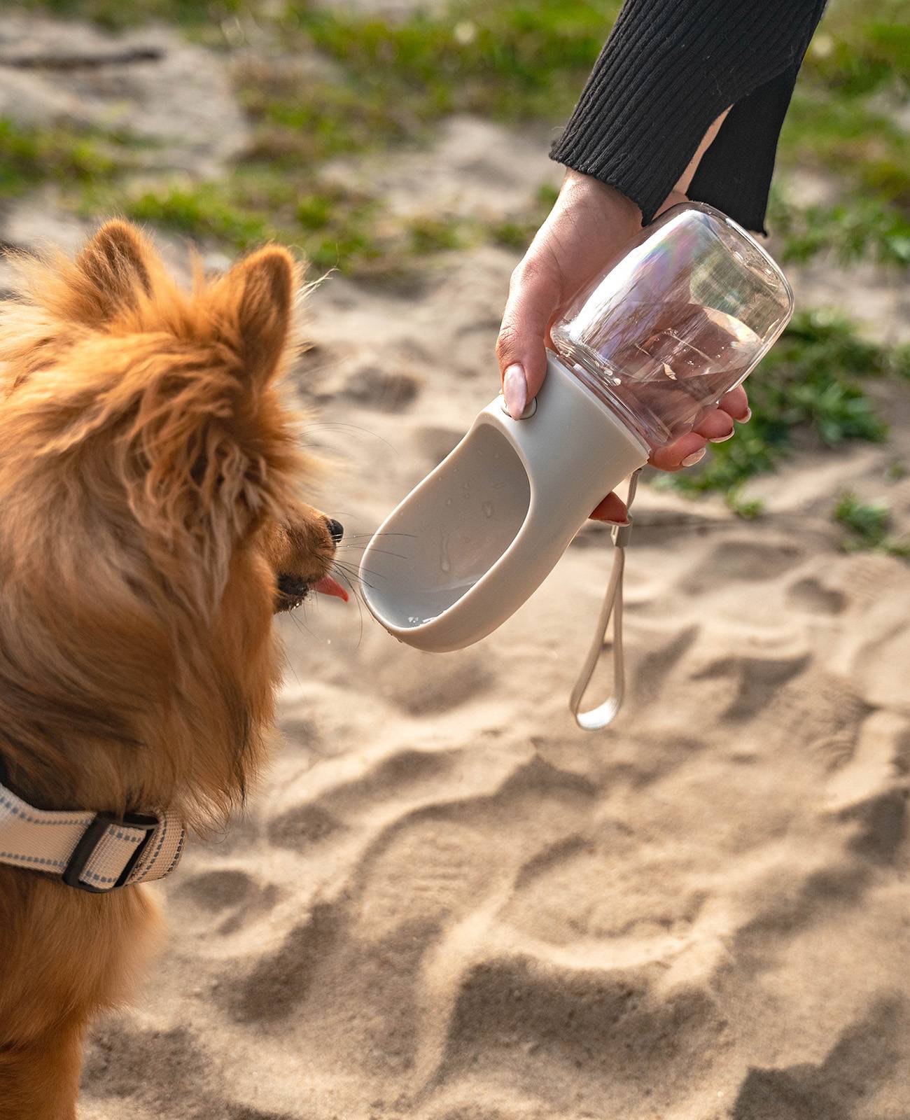 lionto Wasserspender, Trinkflasche für Hunde auf Spaziergängen & Reisen, auslaufsicher, leicht & hygienisch, 350ml, grau