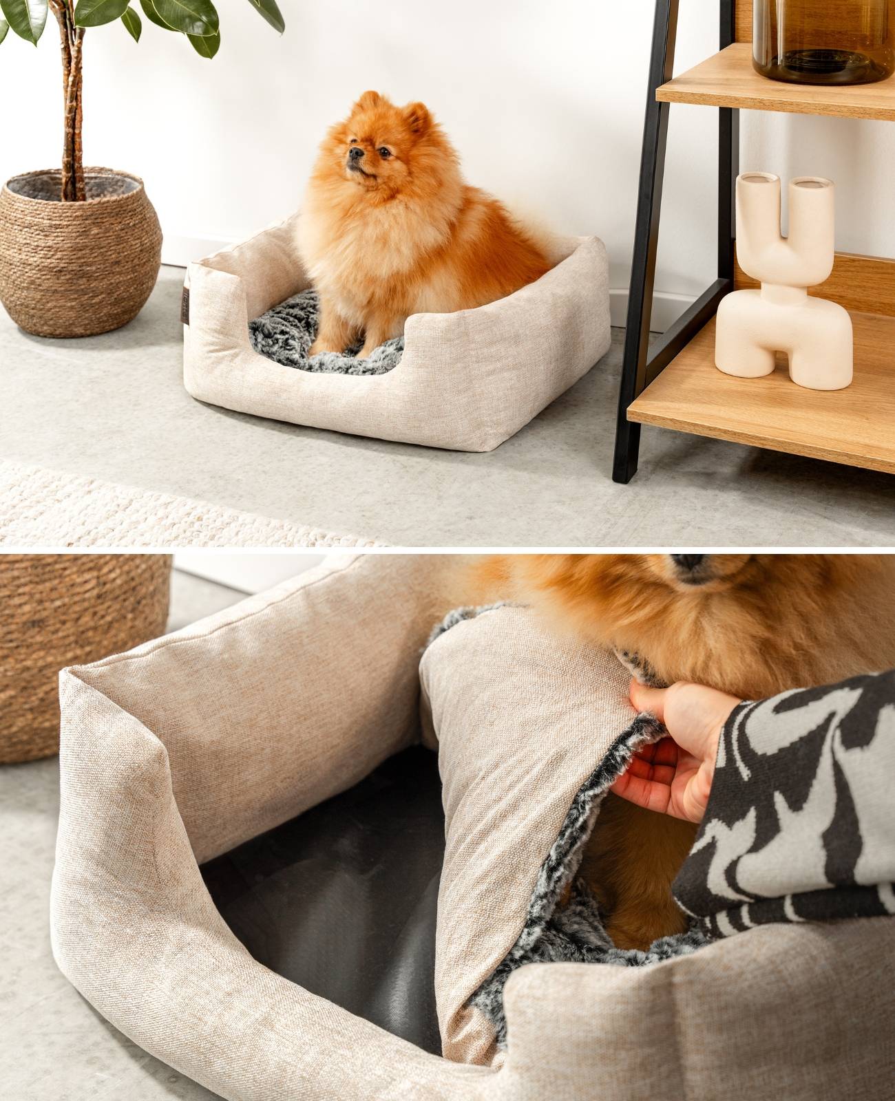 lionto Kuschelbett für Hunde, gemütliches Hundebett mit herausnehmbarem Wendekissen, rutschfestem Boden, 60x50 cm, beige