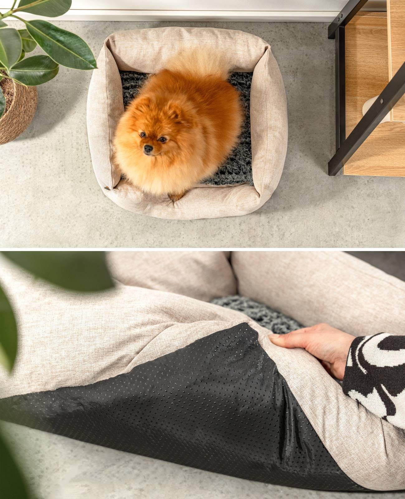 lionto Kuschelbett für Hunde, gemütliches Hundebett mit herausnehmbarem Wendekissen, rutschfestem Boden, 60x50 cm, beige