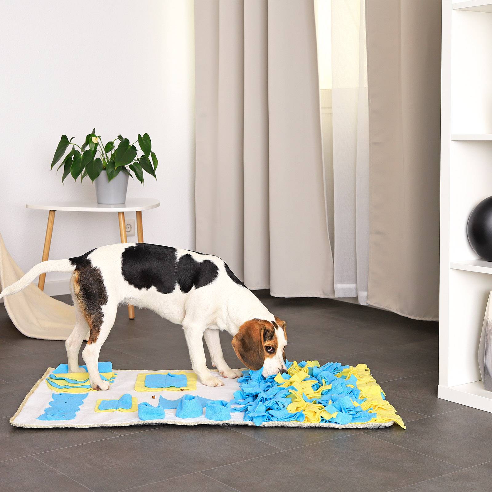 lionto Futterspielmatte für Katzen mit Anti-Rutsch-Unterseite, zur geistigen Förderung & Stressreduktion, 100x60 cm, gelb/blau