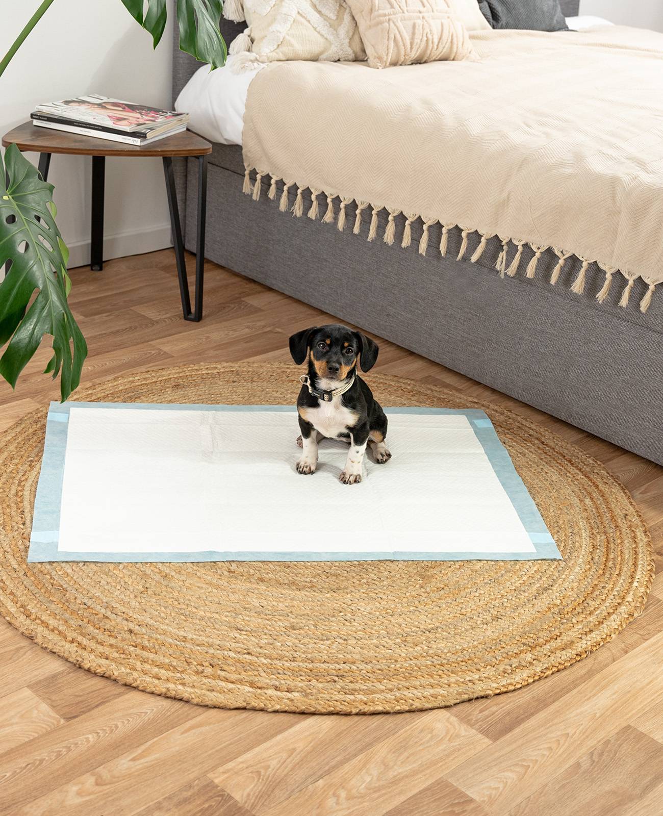 lionto Welpenunterlagen, saugstarke, hygienische Trainingspads mit Auslaufschutz & Geruchsbindung, 60x90 cm, 100 Stück