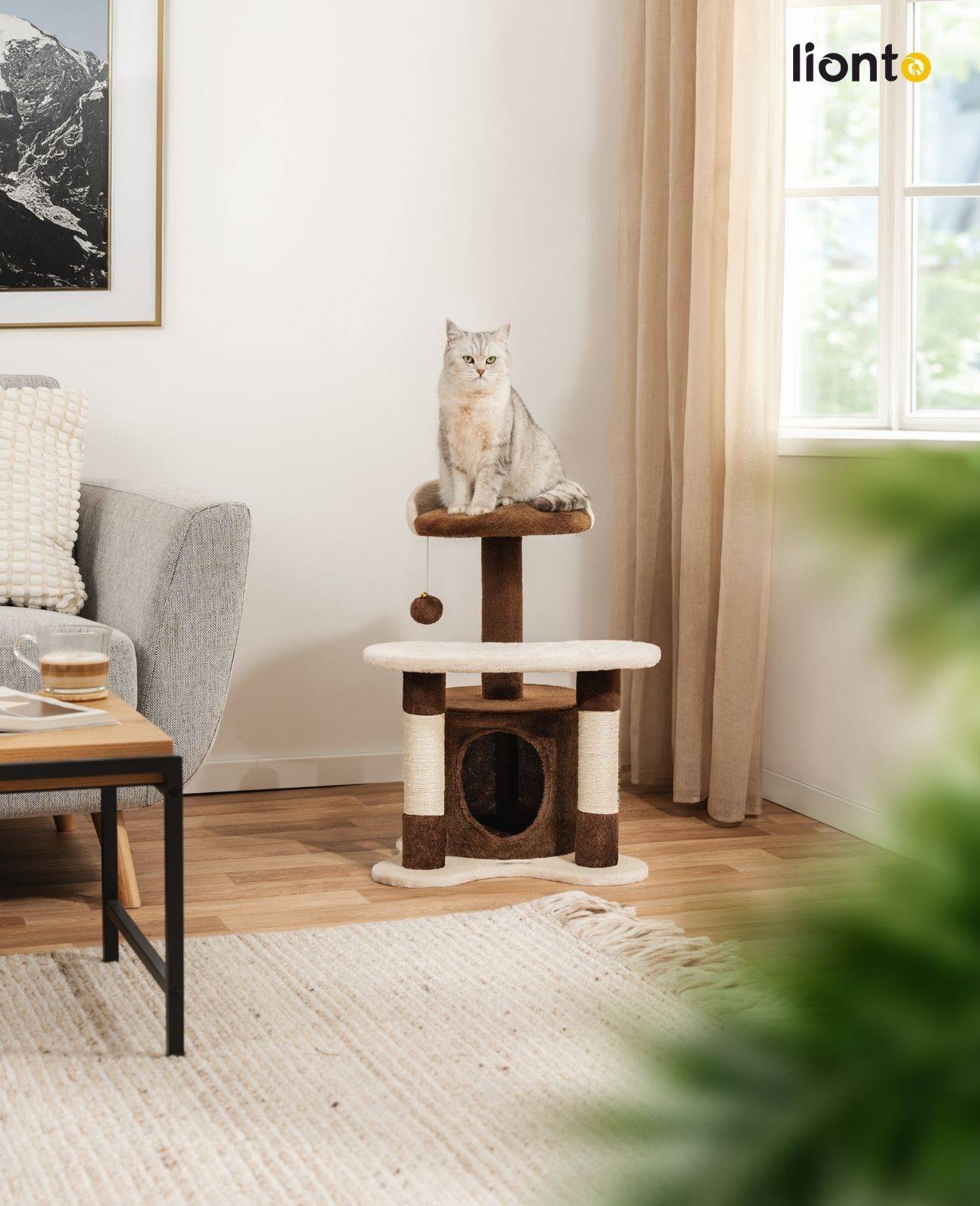 lionto Kratz- & Spielbaum, 65 cm stabiler Katzenbaum mit Sisalstämmen, Plüschhöhle & Spielball, ideal für kleine Katzen, braun/beige