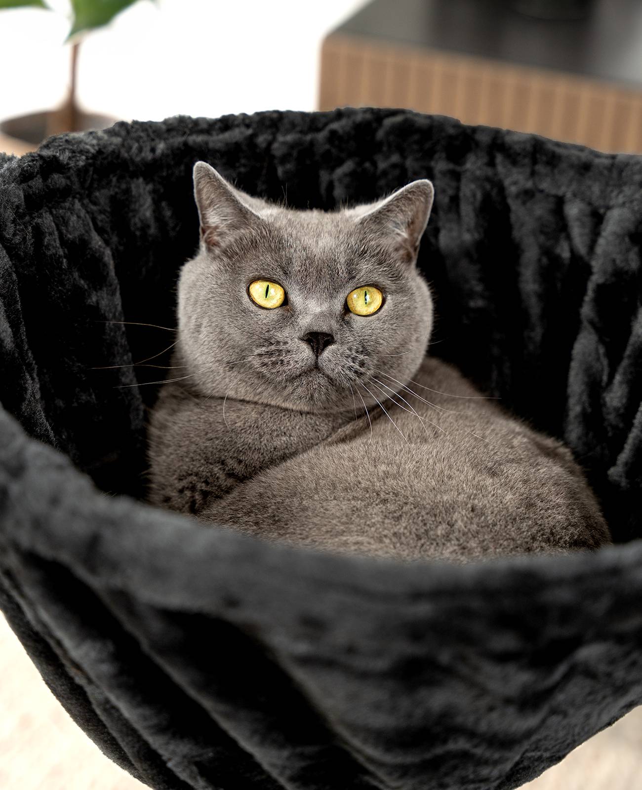 lionto Liegemulde für Kratzbäume, Liegefläche mit stabilem Metallrahmen & Stoffbezug, 40 cm Durchmesser, 25 cm Tiefe, schwarz