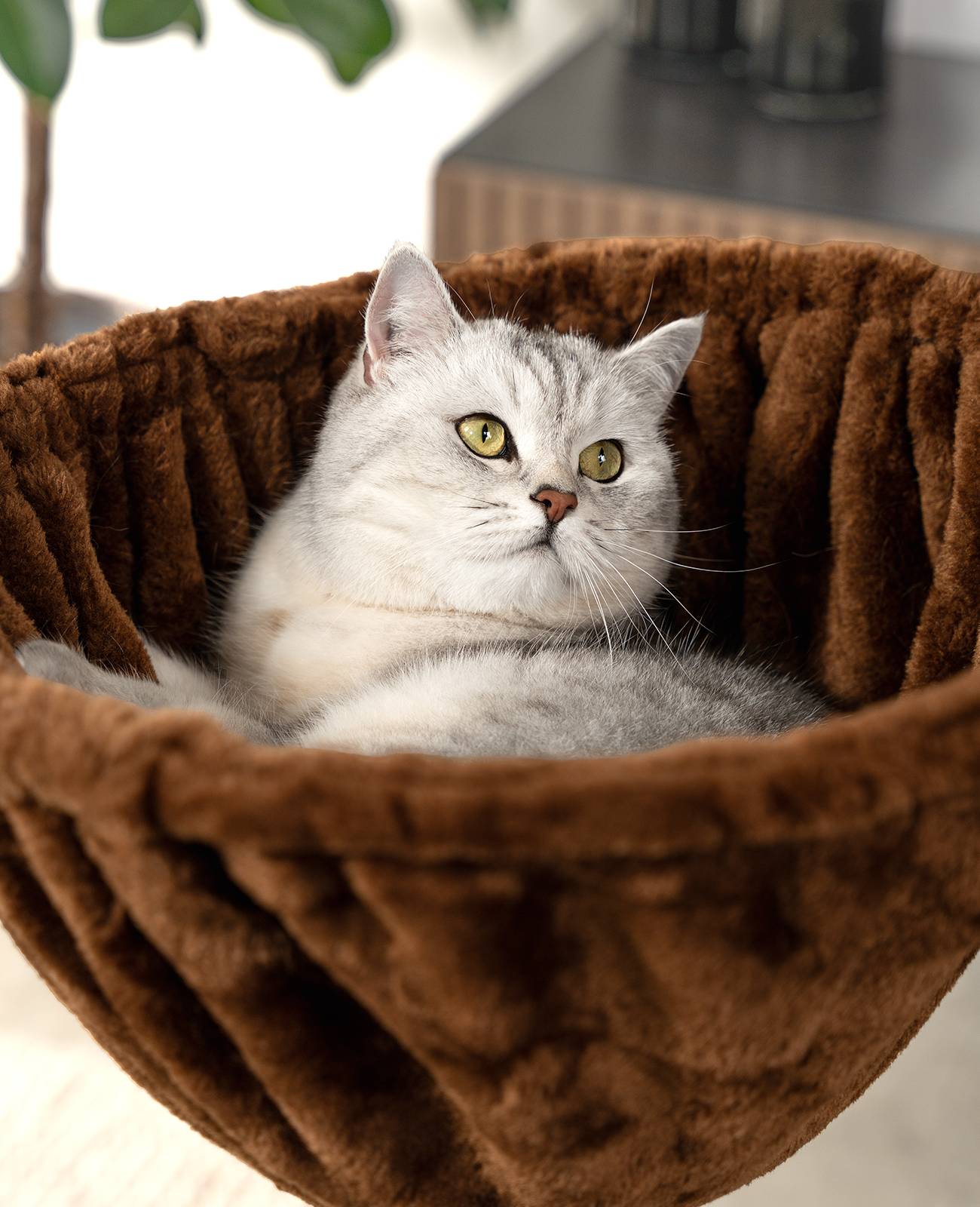 lionto 2er Set Liegemulde für Kratzbäume, Liegefläche mit stabilem Metallrahmen & Stoffbezug, 40 cm Durchmesser, 25 cm Tiefe, braun