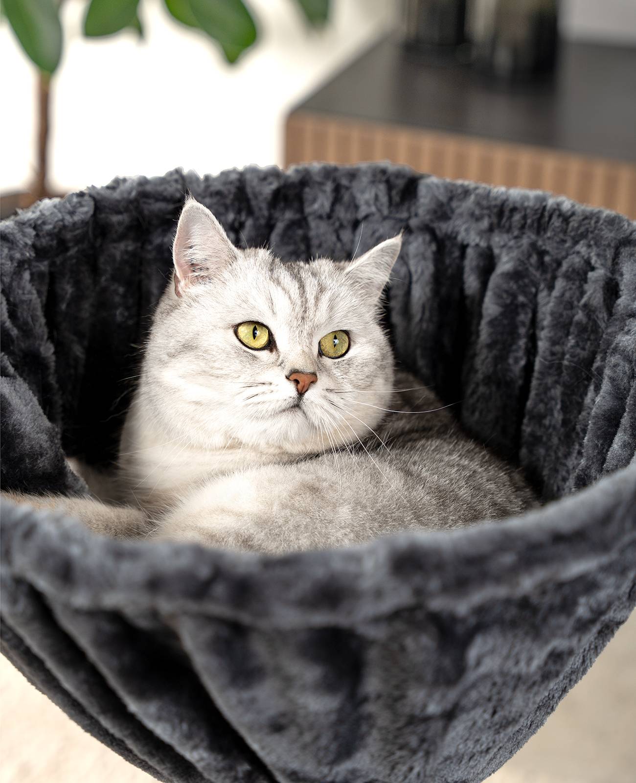 lionto Liegemulde für Kratzbäume, Liegefläche mit stabilem Metallrahmen & Stoffbezug, 40 cm Durchmesser, 25 cm Tiefe, grau