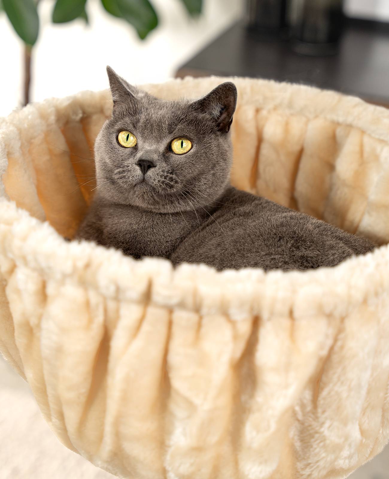 lionto Liegemulde für Kratzbäume, Liegefläche mit stabilem Metallrahmen & Stoffbezug, 40 cm Durchmesser, 25 cm Tiefe, beige