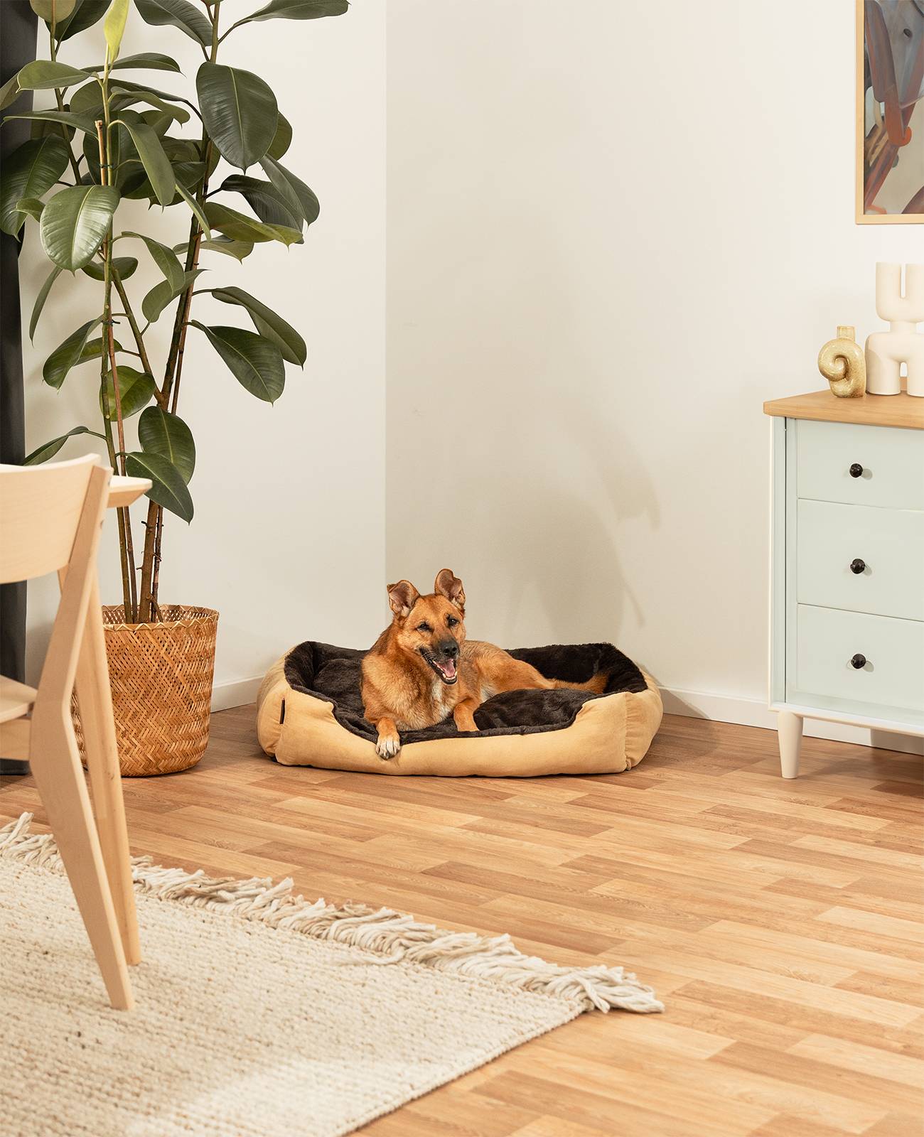 lionto Hundebett, weiches Kuschelbett mit herausnehmbarem Wendekissen & Anti-Rutsch-Boden, 90x70 cm, beige/braun