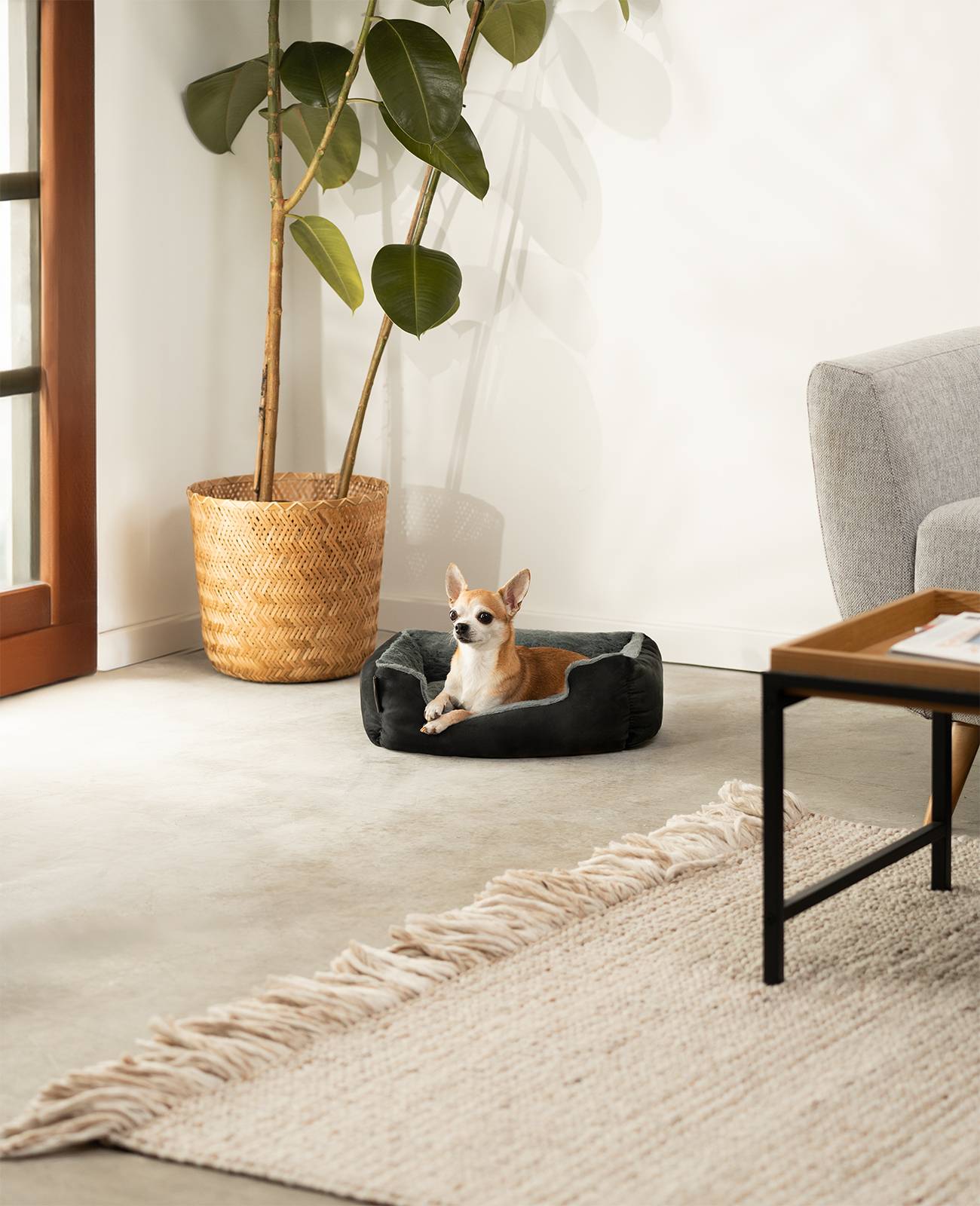 lionto Hundebett, weiches Kuschelbett mit herausnehmbarem Wendekissen & Anti-Rutsch-Boden, 50x37 cm, schwarz/grau