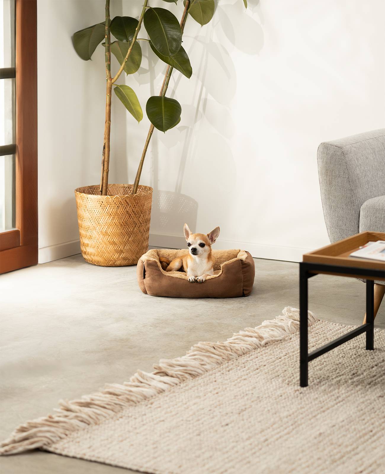 lionto Hundebett, weiches Kuschelbett mit herausnehmbarem Wendekissen & Anti-Rutsch-Boden, 50x37 cm, braun/beige