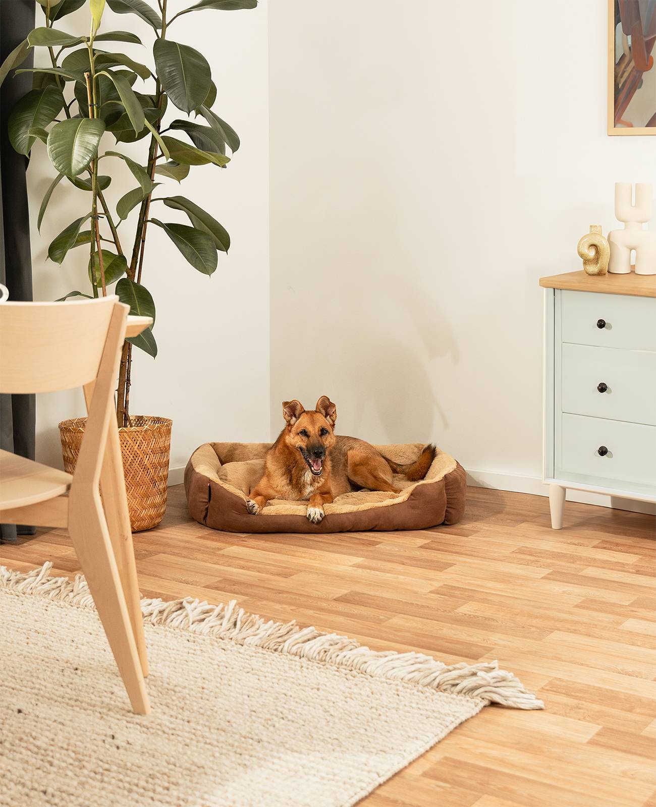 lionto Hundebett, weiches Kuschelbett mit herausnehmbarem Wendekissen & Anti-Rutsch-Boden, 90x70 cm, braun/beige