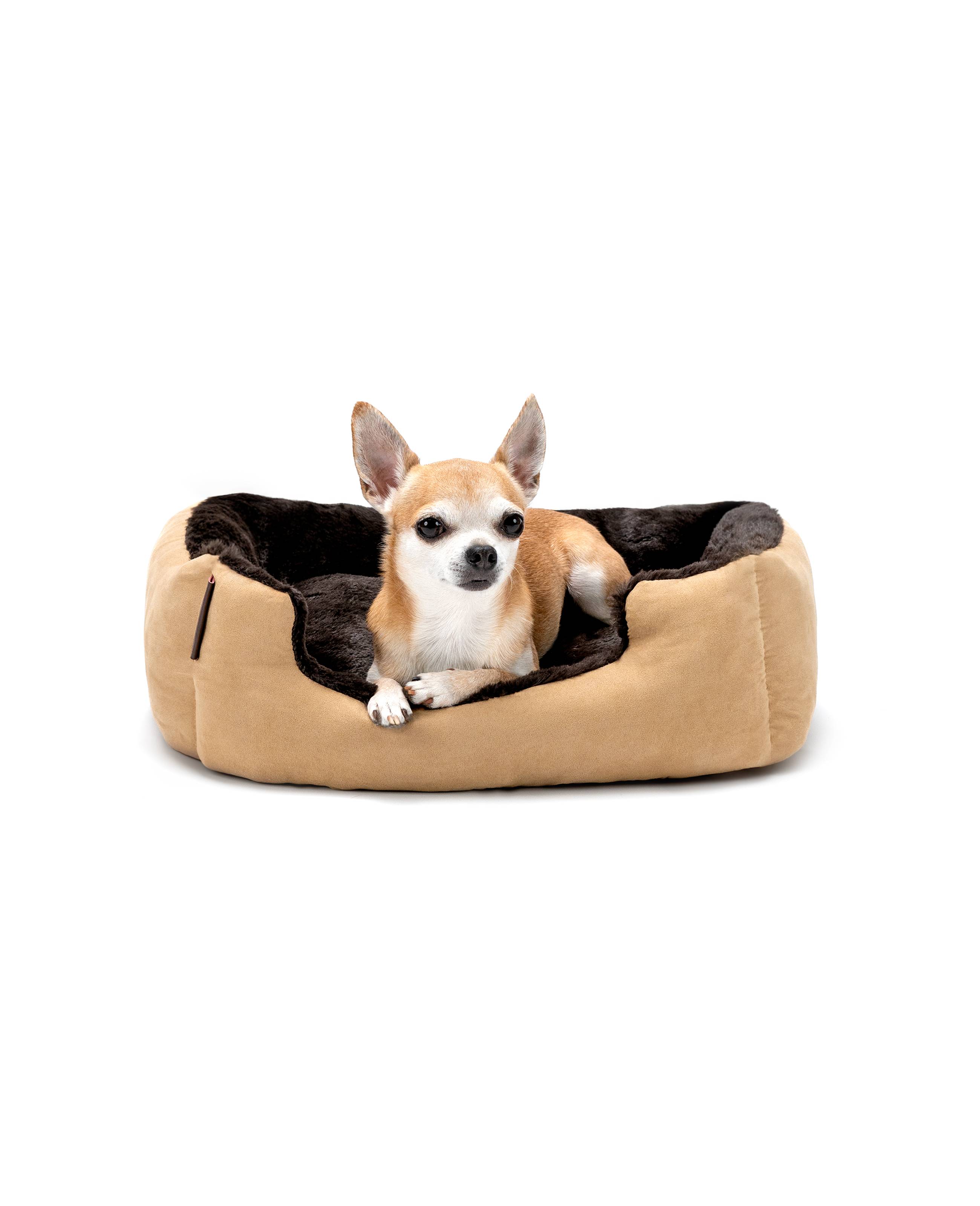 lionto Hundebett, weiches Kuschelbett mit herausnehmbarem Wendekissen & Anti-Rutsch-Boden, 50x37 cm, beige/braun