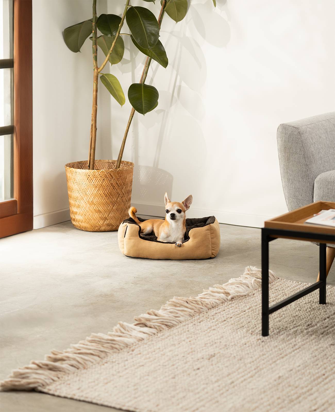 lionto Hundebett, weiches Kuschelbett mit herausnehmbarem Wendekissen & Anti-Rutsch-Boden, 50x37 cm, beige/braun