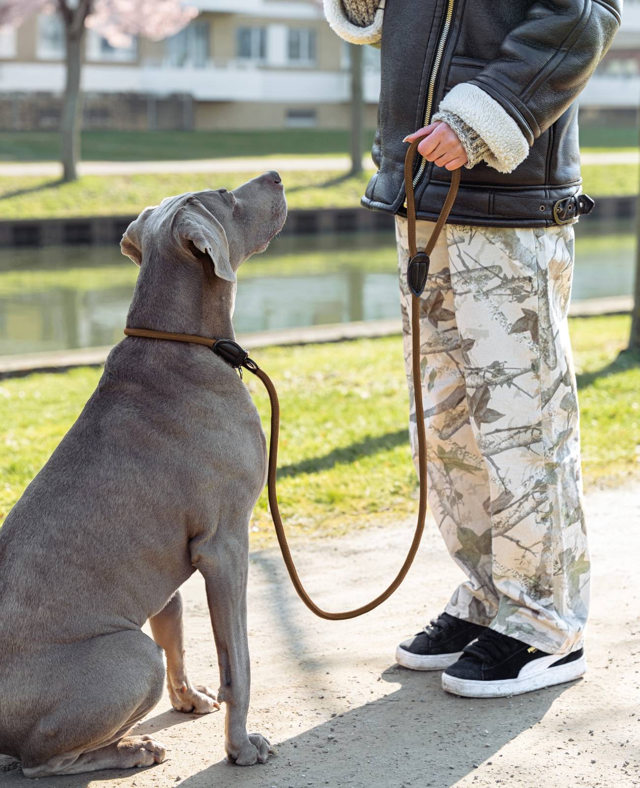 lionto Retrieverleine, sicher, stylisch & vegan, mit Zugbegrenzung & Stopper für sanftes Hundetraining, 120 cm, braun