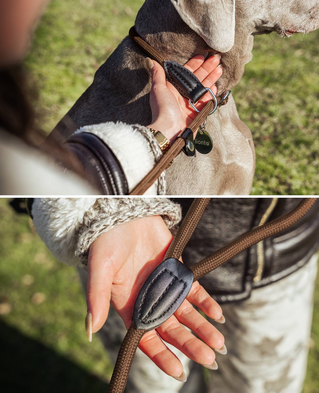 lionto Retrieverleine, sicher, stylisch & vegan, mit Zugbegrenzung & Stopper für sanftes Hundetraining, 120 cm, braun