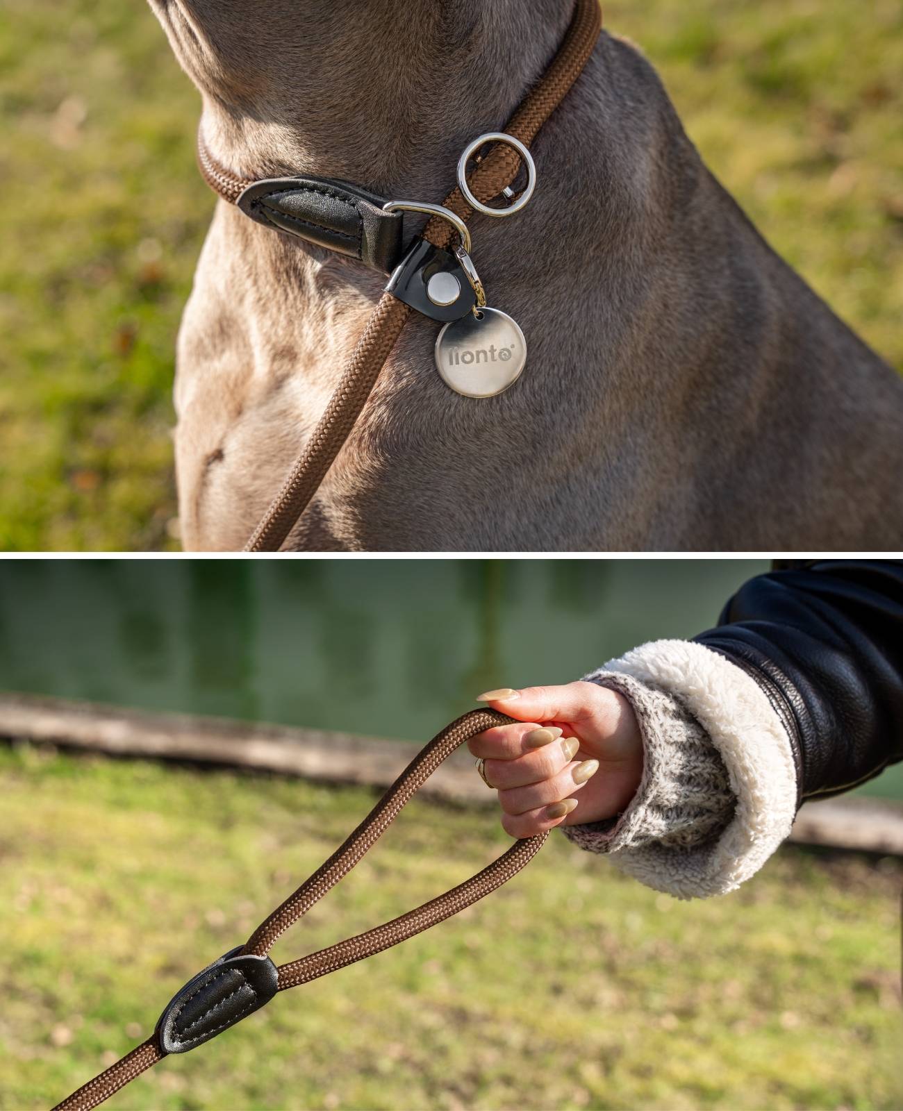 lionto Retrieverleine, sicher, stylisch & vegan, mit Zugbegrenzung & Stopper für sanftes Hundetraining, 120 cm, braun