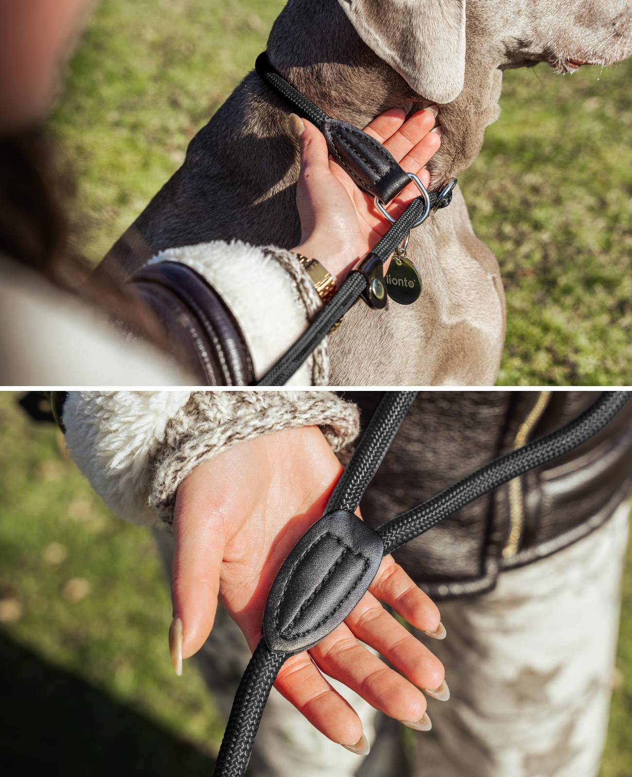 lionto Retrieverleine, sicher, stylisch & vegan, mit Zugbegrenzung & Stopper für sanftes Hundetraining, 120 cm, schwarz