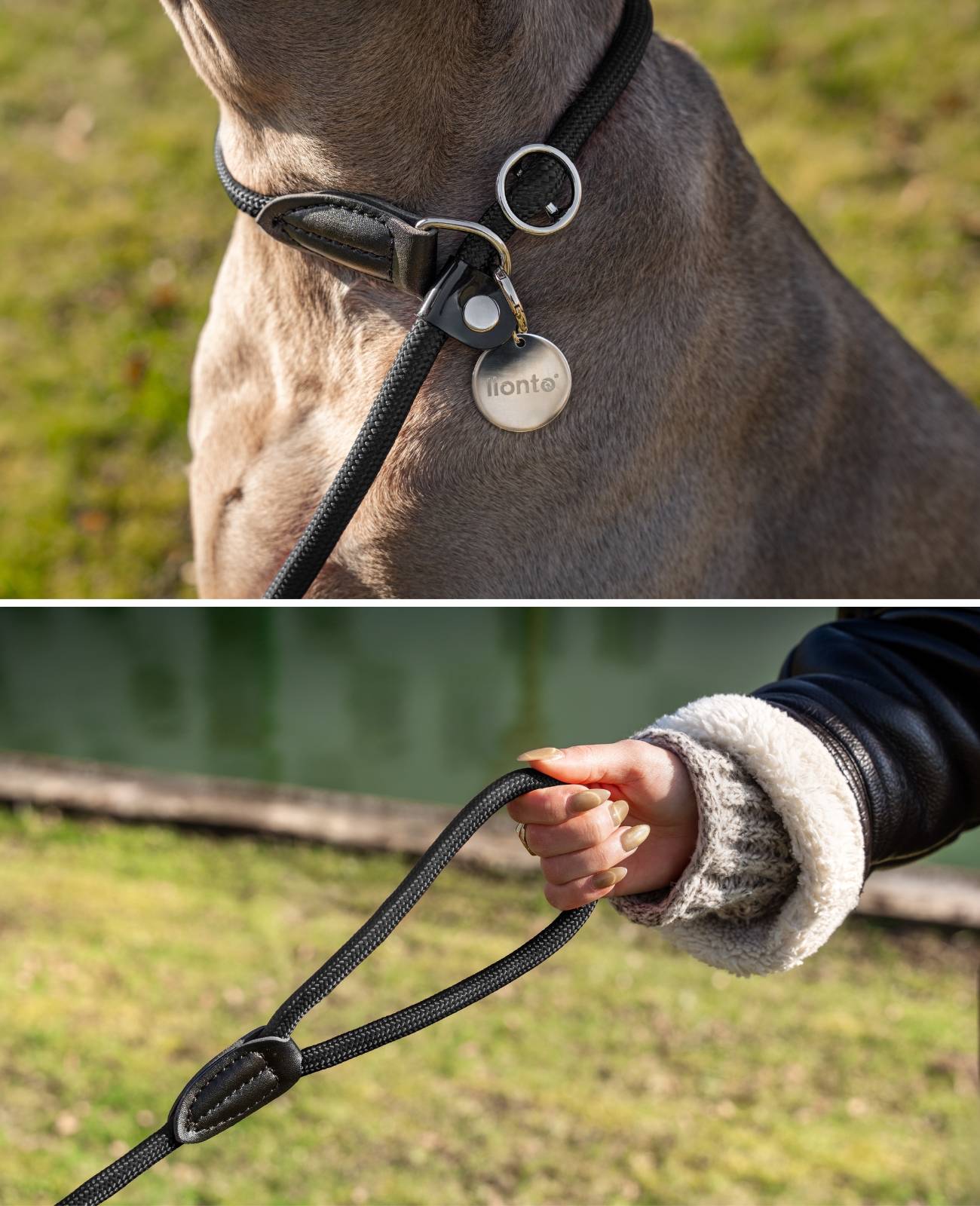 lionto Retrieverleine, sicher, stylisch & vegan, mit Zugbegrenzung & Stopper für sanftes Hundetraining, 120 cm, schwarz