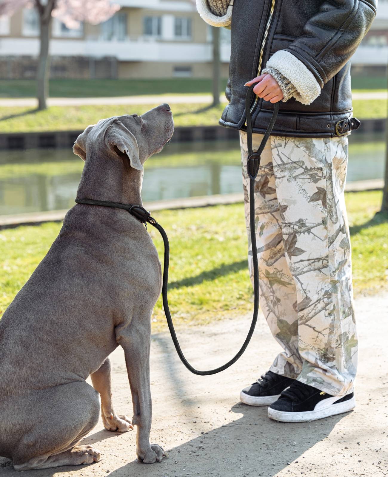 lionto Retrieverleine, sicher, stylisch & vegan, mit Zugbegrenzung & Stopper für sanftes Hundetraining, 120 cm, schwarz