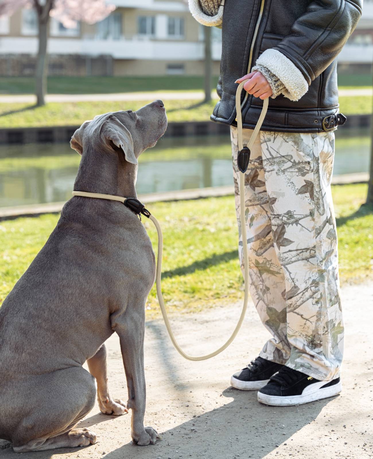 lionto Retrieverleine, sicher, stylisch & vegan, mit Zugbegrenzung & Stopper für sanftes Hundetraining, 120 cm, beige