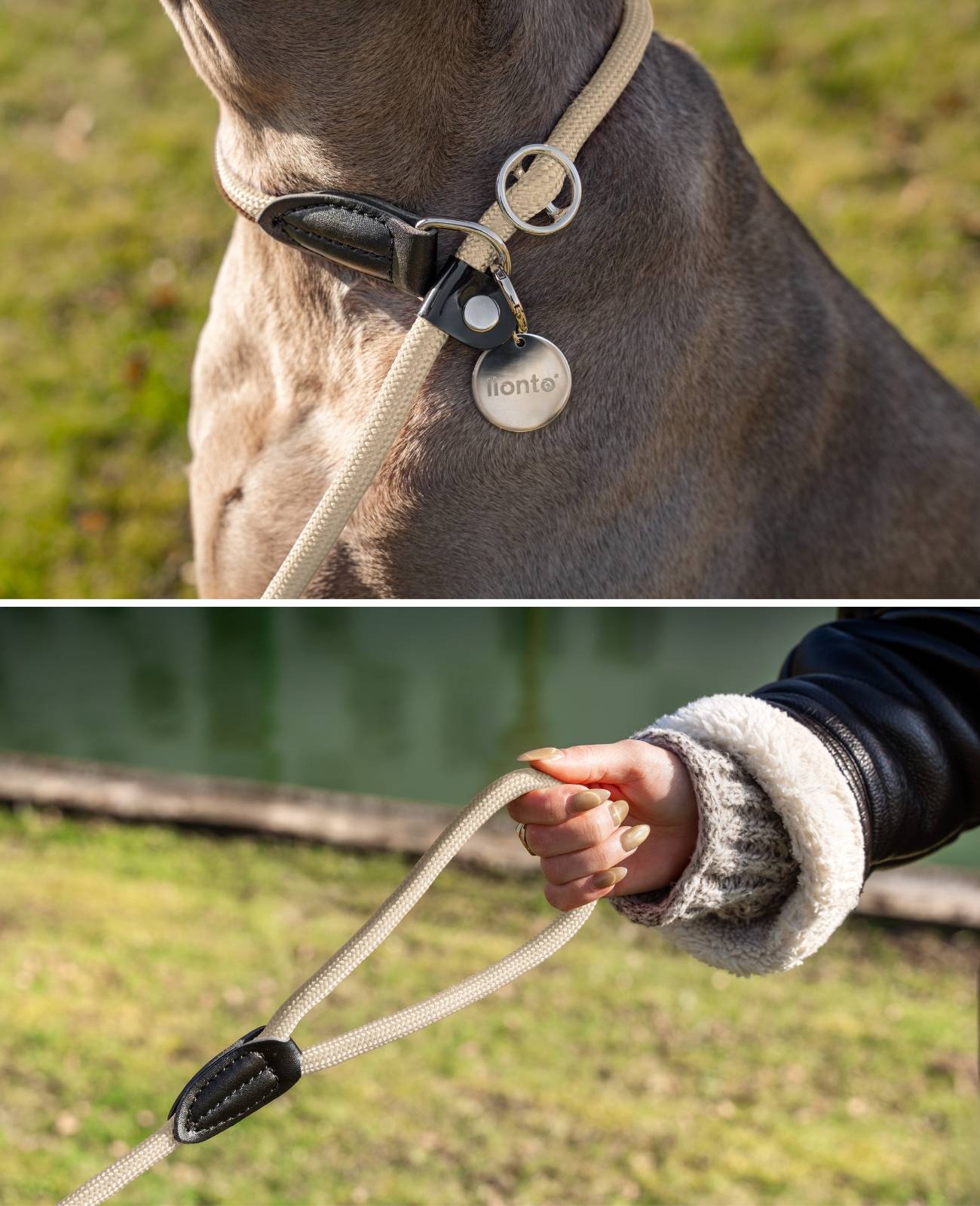 lionto Retrieverleine, sicher, stylisch & vegan, mit Zugbegrenzung & Stopper für sanftes Hundetraining, 170 cm, beige