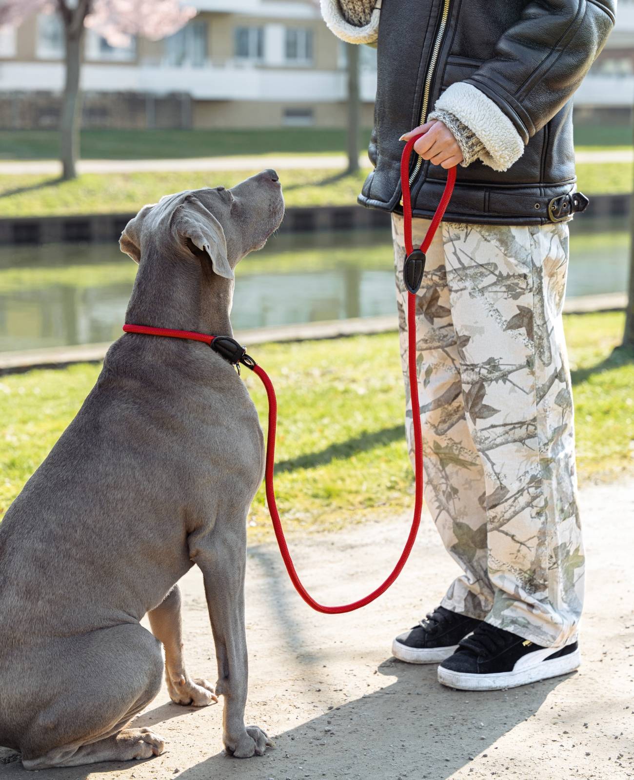 lionto Retrieverleine, sicher, stylisch & vegan, mit Zugbegrenzung & Stopper für sanftes Hundetraining, 120 cm, rot