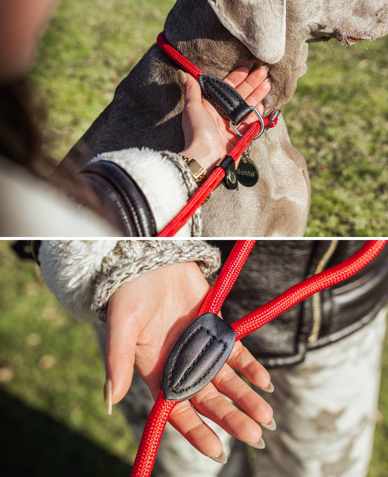 lionto Retrieverleine, sicher, stylisch & vegan, mit Zugbegrenzung & Stopper für sanftes Hundetraining, 120 cm, rot