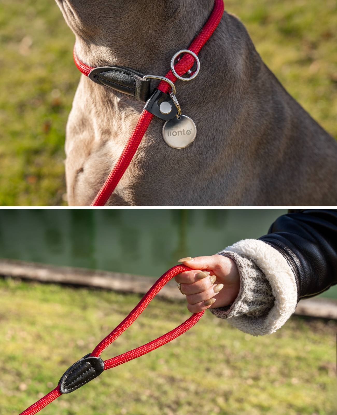 lionto Retrieverleine, sicher, stylisch & vegan, mit Zugbegrenzung & Stopper für sanftes Hundetraining, 120 cm, rot