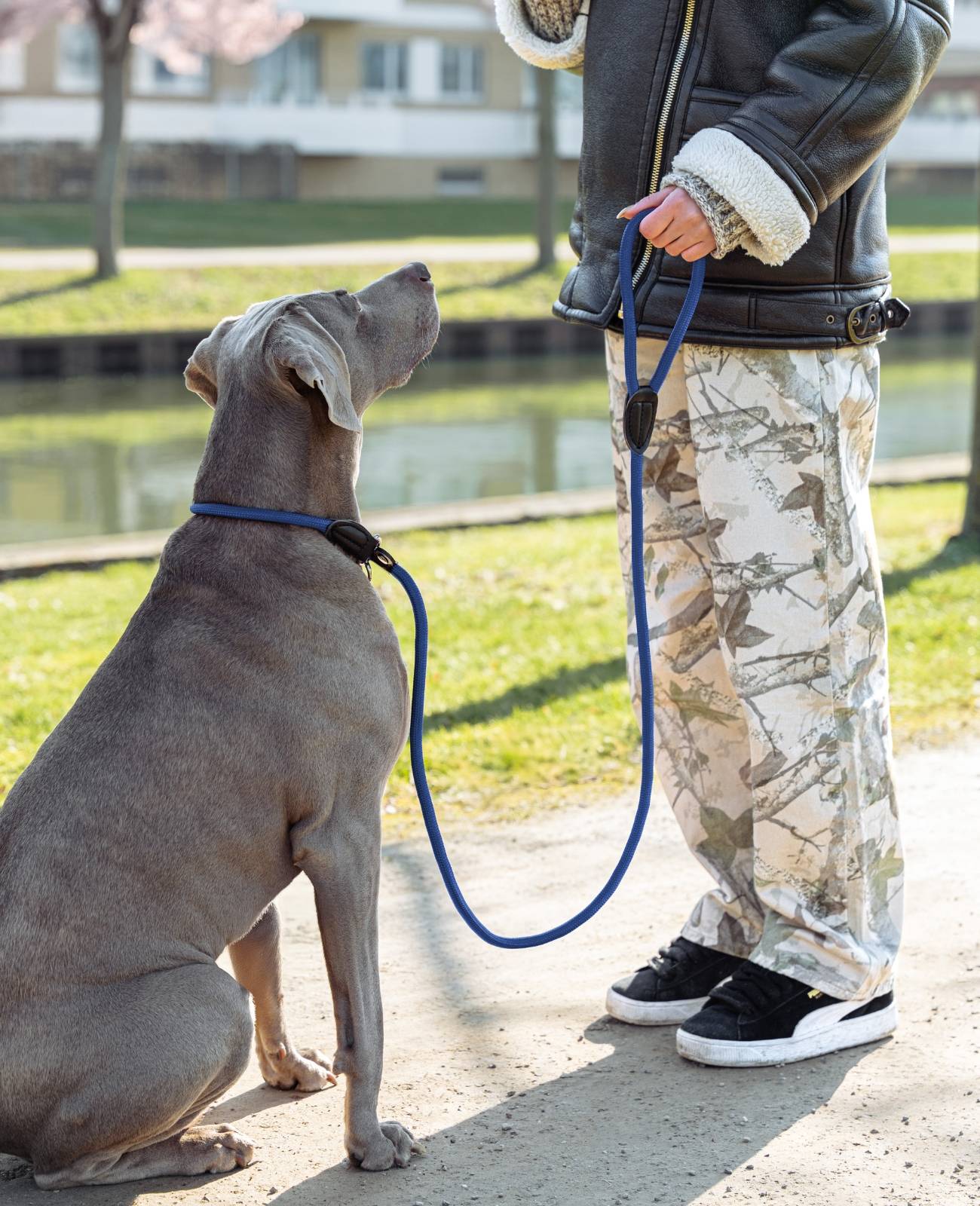 lionto Retrieverleine, sicher, stylisch & vegan, mit Zugbegrenzung & Stopper für sanftes Hundetraining, 120 cm, blau