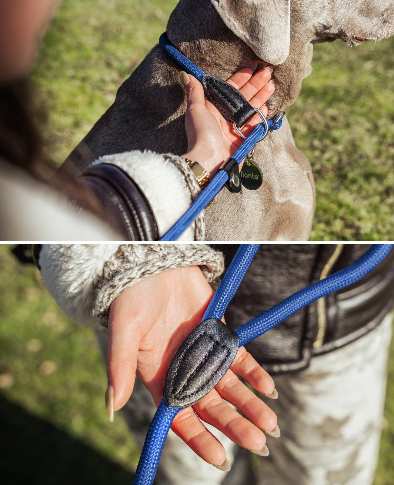 lionto Retrieverleine, sicher, stylisch & vegan, mit Zugbegrenzung & Stopper für sanftes Hundetraining, 170 cm, blau