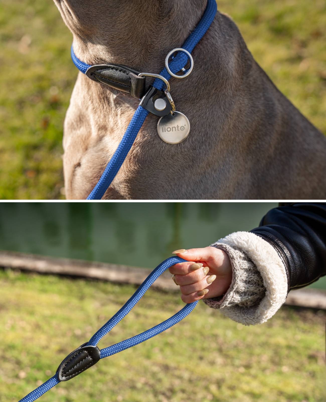 lionto Retrieverleine, sicher, stylisch & vegan, mit Zugbegrenzung & Stopper für sanftes Hundetraining, 170 cm, blau