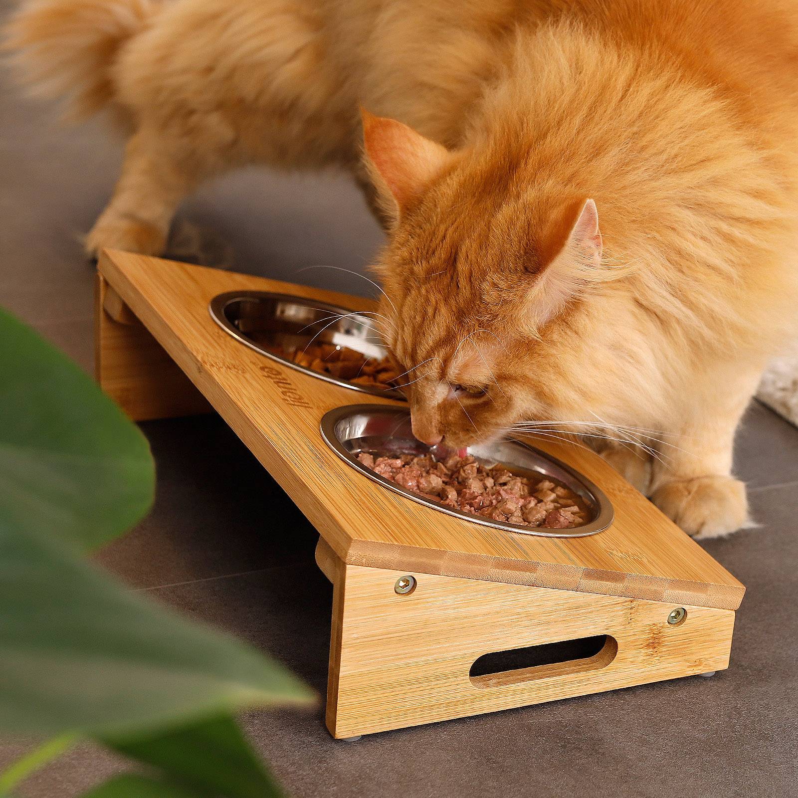 lionto Hundenapfständer Bambus, erhöhte Futterstation mit 2 Näpfen aus Edelstahl, rutschfest & leicht zu reinigen (2×0,25 L)