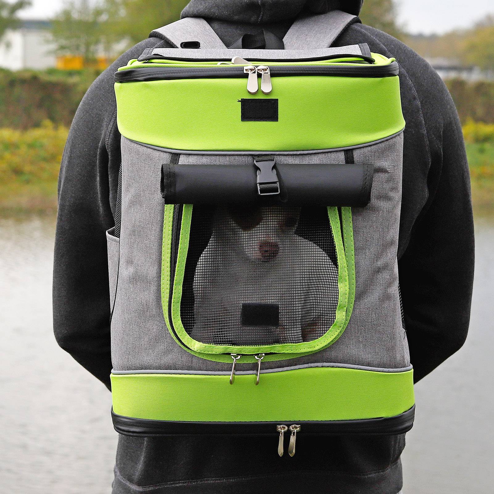 lionto Haustier-Rucksack, atmungsaktiver Hunderucksack mit Karabiner, Regenschutz & herausnehmbarer Unterlage, grau/grün