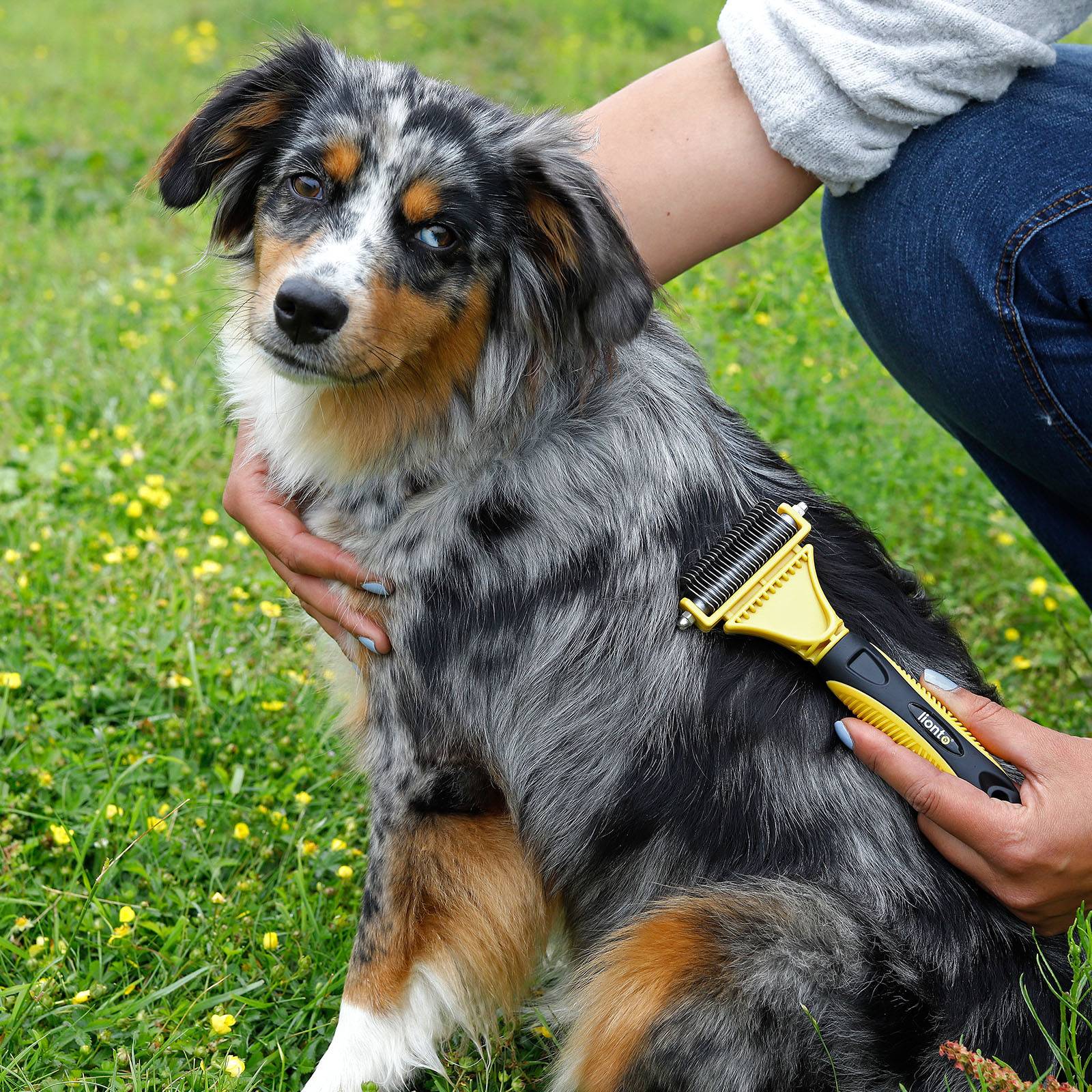 lionto Hundebürste doppelseitig, Entfilzungs- & Unterwollbürste mit Edelstahlklingen, ergonomischer Griff, gelb/schwarz