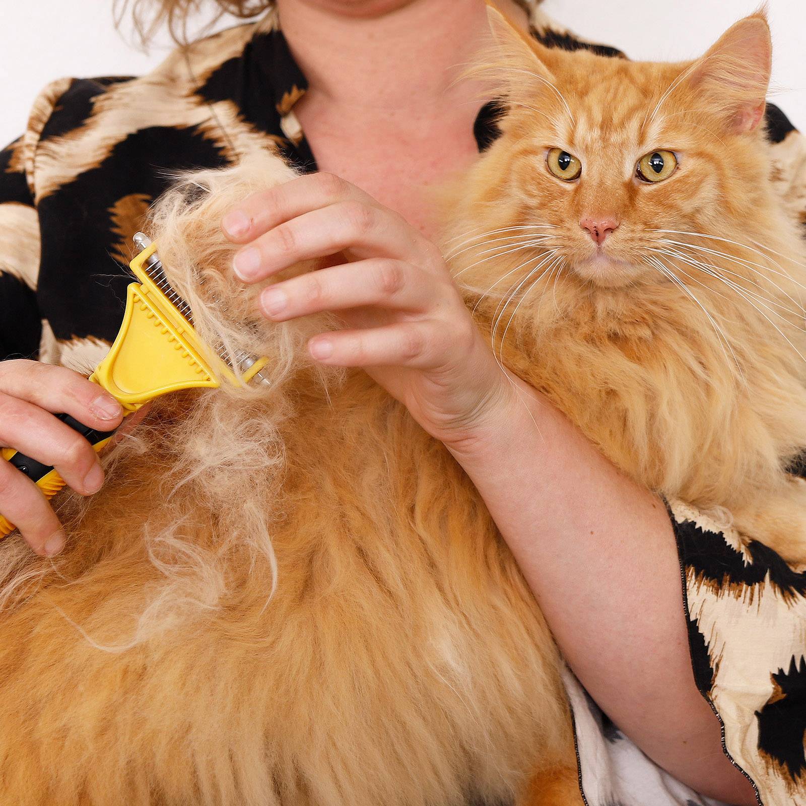 lionto 2-in-1 Entfilzungsbürste, Katzenbürste mit Edelstahlklingen, ergonomischer Griff, sanft & effektiv, gelb/schwarz