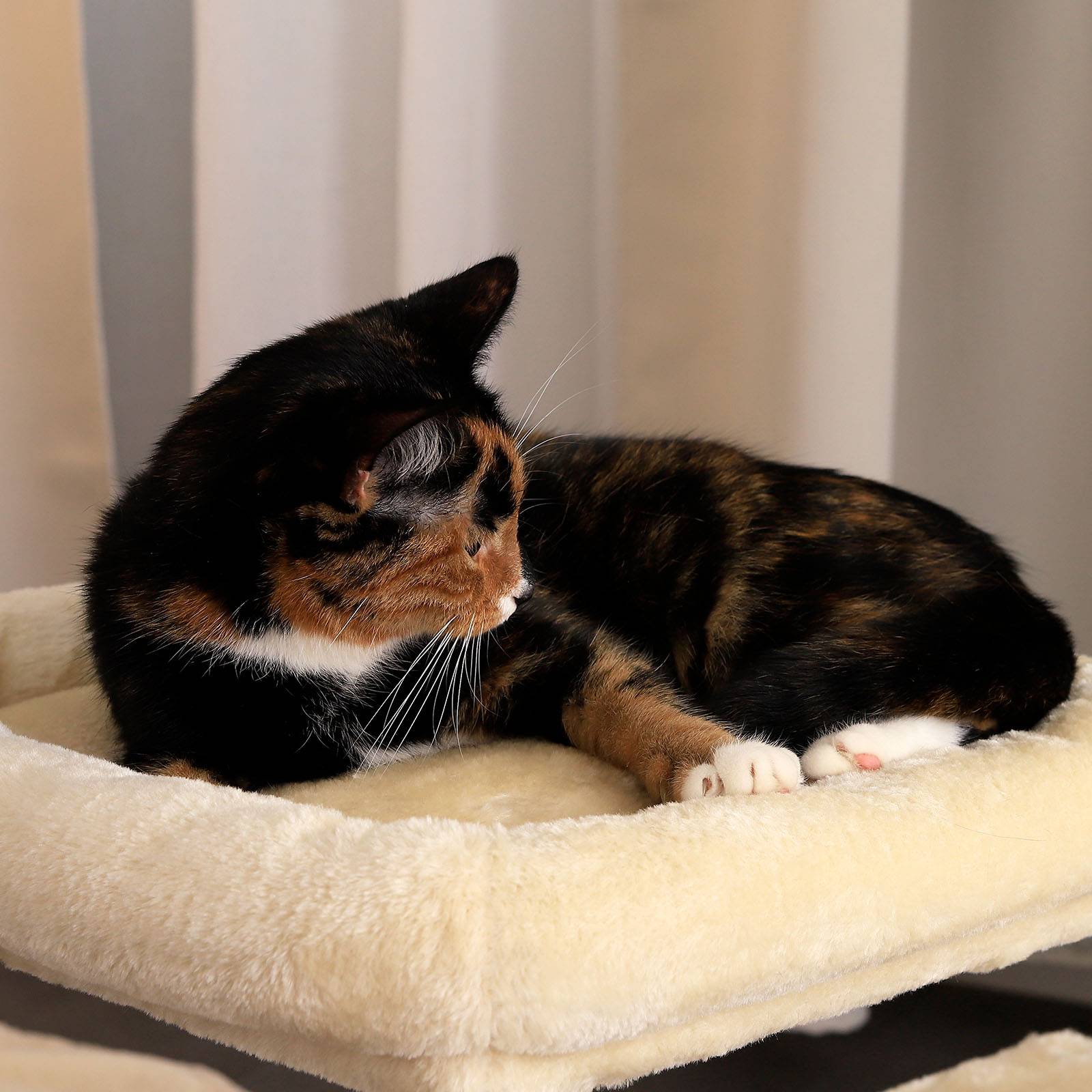 lionto Kratzbaum 50 cm, platzsparender Katzenkratzbaum mit Plüschbezug, Spielball & Sisalstange, für Kitten & Jungtiere, beige