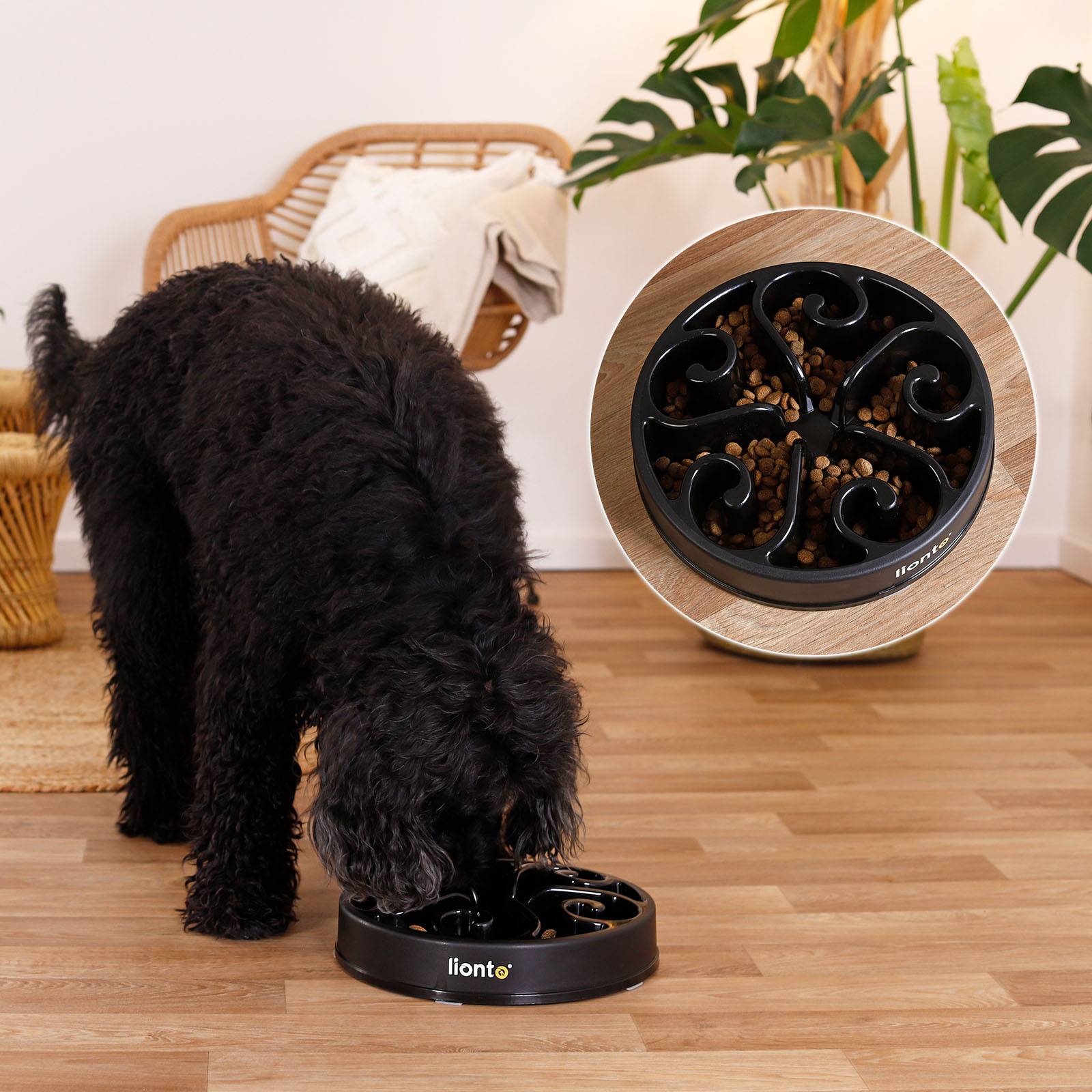 lionto Antischlingnapf für Hunde & Katzen mit Anti-Rutsch-Füßen, spülmaschinenfest & robust, 30 cm, schwarz