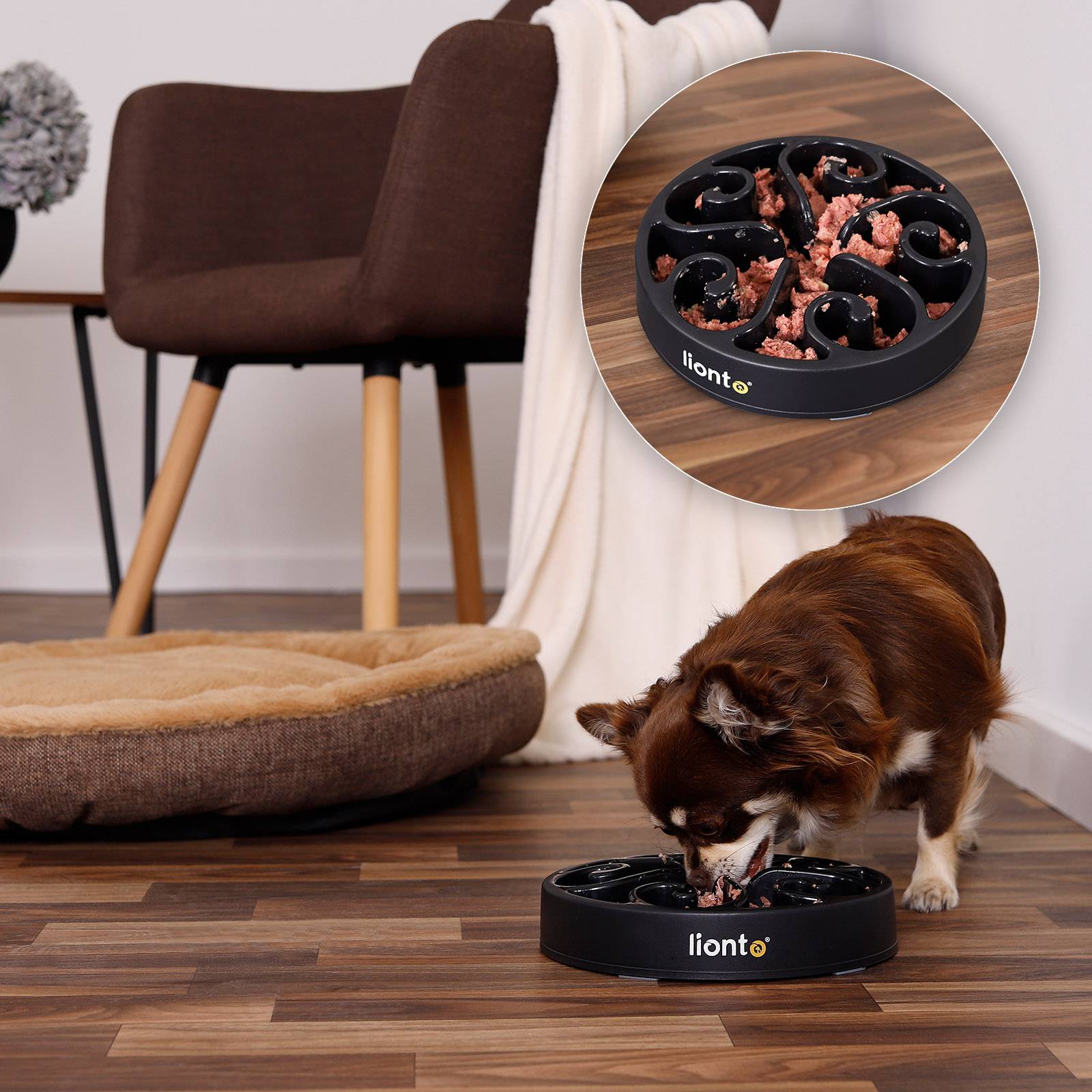 lionto Antischlingnapf für Hunde & Katzen mit Anti-Rutsch-Füßen, spülmaschinenfest & robust, 20 cm, schwarz