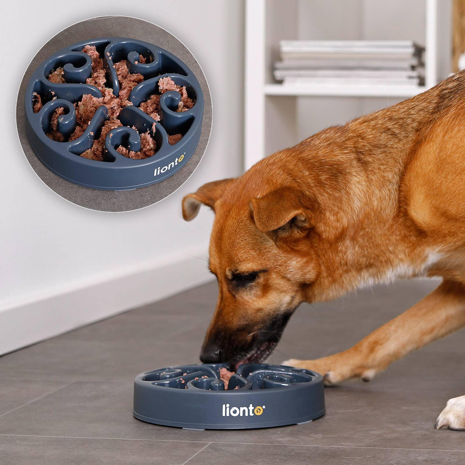 lionto Antischlingnapf für Hunde & Katzen mit Anti-Rutsch-Füßen, spülmaschinenfest & robust, 20 cm, grau