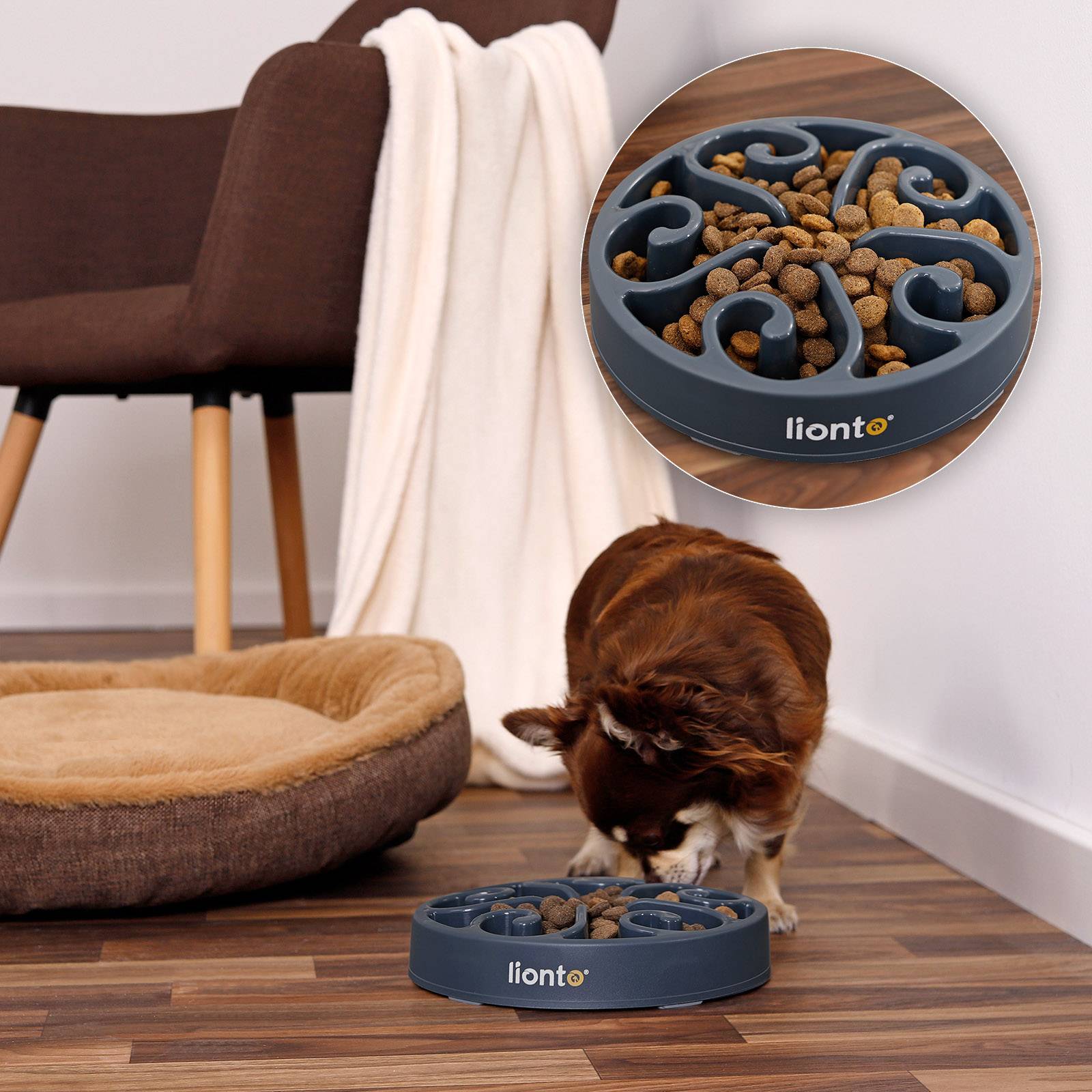 lionto Antischlingnapf für Hunde & Katzen mit Anti-Rutsch-Füßen, spülmaschinenfest & robust, 20 cm, grau