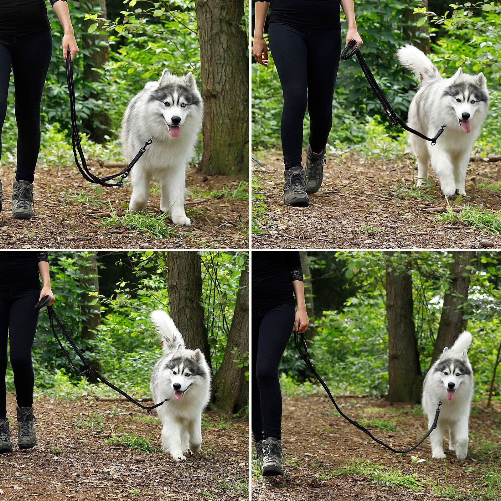 lionto Hundeleine, 3-fach verstellbare Multifunktionsleine aus Nylon, reflektierend 200 cm, mit 2 Edelstahlkarabinern, schwarz