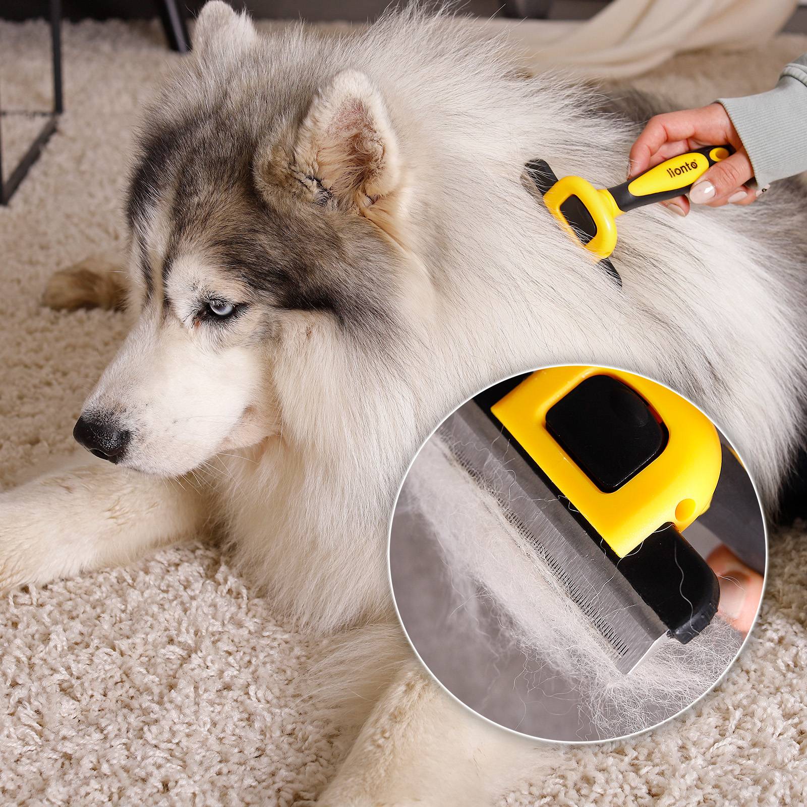lionto Hundebürste, Edelstahl-Fellpflegebürste 10 cm, entfernt lose Haare & Unterwolle schonend, Anti-Rutsch-Griff, gelb/schwarz